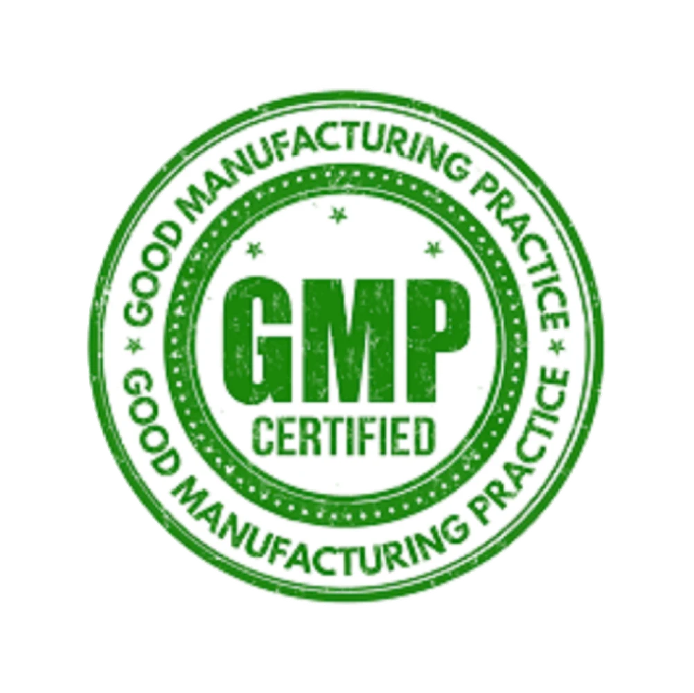 GMP Consulting visual summary